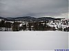 2008_11_24_12_42_06_kurow_suski-01.jpg