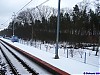 2009_02_28_07_46_18_zagajnik.jpg