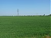 2009_05_01_09_15_58_legnica.jpg