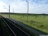2009_06_03_06_58_30_orzeszkow.jpg