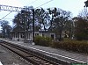 2010_10_20_16_54_14_Wipsowo.jpg