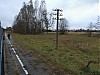 2010_10_21_11_43_35_Olszyny.jpg
