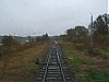 2010_10_21_12_32_14_Klewki.jpg