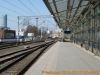 2012-03-18_09-49-59_peron_piaty.jpg