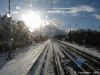 2015-02-08_14-59-09_Szulborze-Koty.jpg